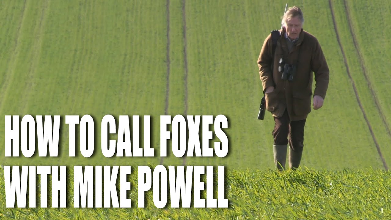 How To Call Foxes, With Mike Powell