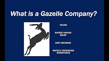 What is a Gazelle Company?