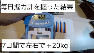 握力計を１週間毎日握って分かったこと