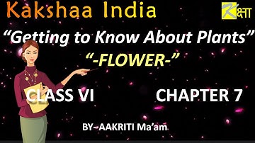 Class 6 | Science | Chapter 7 | Part 4 | Getting To Know Plants |Flower #Kakshaa India #Kakshaaindia