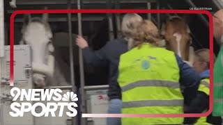 How Olympic equestrians transport their horses to the Paris for the Olympic Games