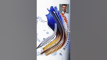 U.S. Securities Regulator Announces AI Task Force