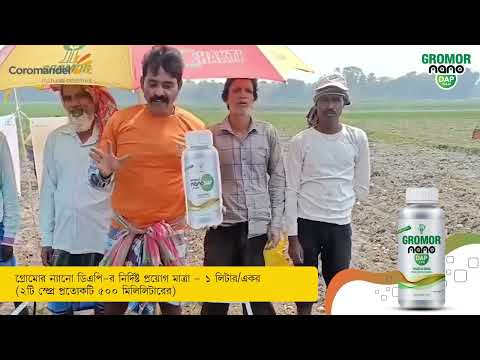আলুতে Gromor Nano DAP কি সত্যিই কাজ করে? ওমজান খানের অবাক করা ফলাফল! (Potato, West Bengal)