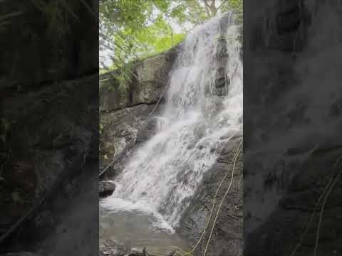 Waterfalls kerala  Palakkad / Cherpulassery #trip #photooftheday #videos #keralam #nature #india