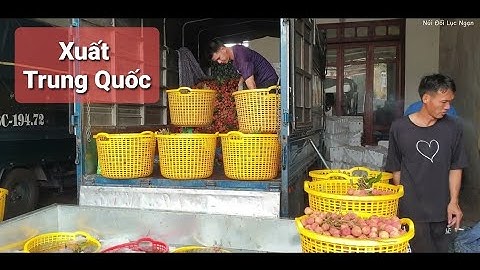 CÁCH ĐÓNG THÙNG VẢI THIỀU LỤC NGẠN XUẤT KHẨU TRUNG QUỐC I NÚI ĐỒI LỤC NGẠN