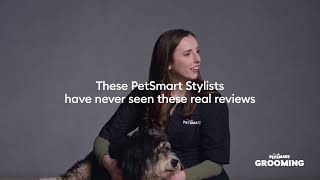 These PetSmart Stylists have never seen these real customer reviews by PetSmart 2,309,257 views 1 day ago 1 minute, 1 second