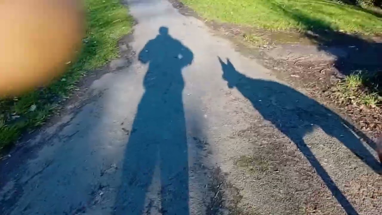 Some days he makes me repeat myself 🤨