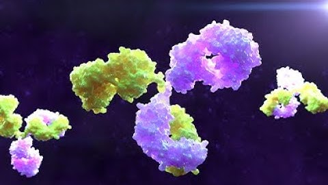 Mechanistic model-informed discovery & development of bispecific antibodies for immuno-oncology