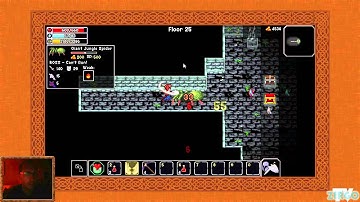 The Enchanted Cave 2 - Floor 25 boss - Giant Spider
