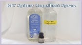 Easy Spider Killer Using Household Supplies : Clean in :30 - YouTube