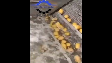 MÁY RỬA KHOAI TÂY TỰ ĐỘNG, MÁY RỬA RAU CỦ QUẢ CÔNG NGHIỆP