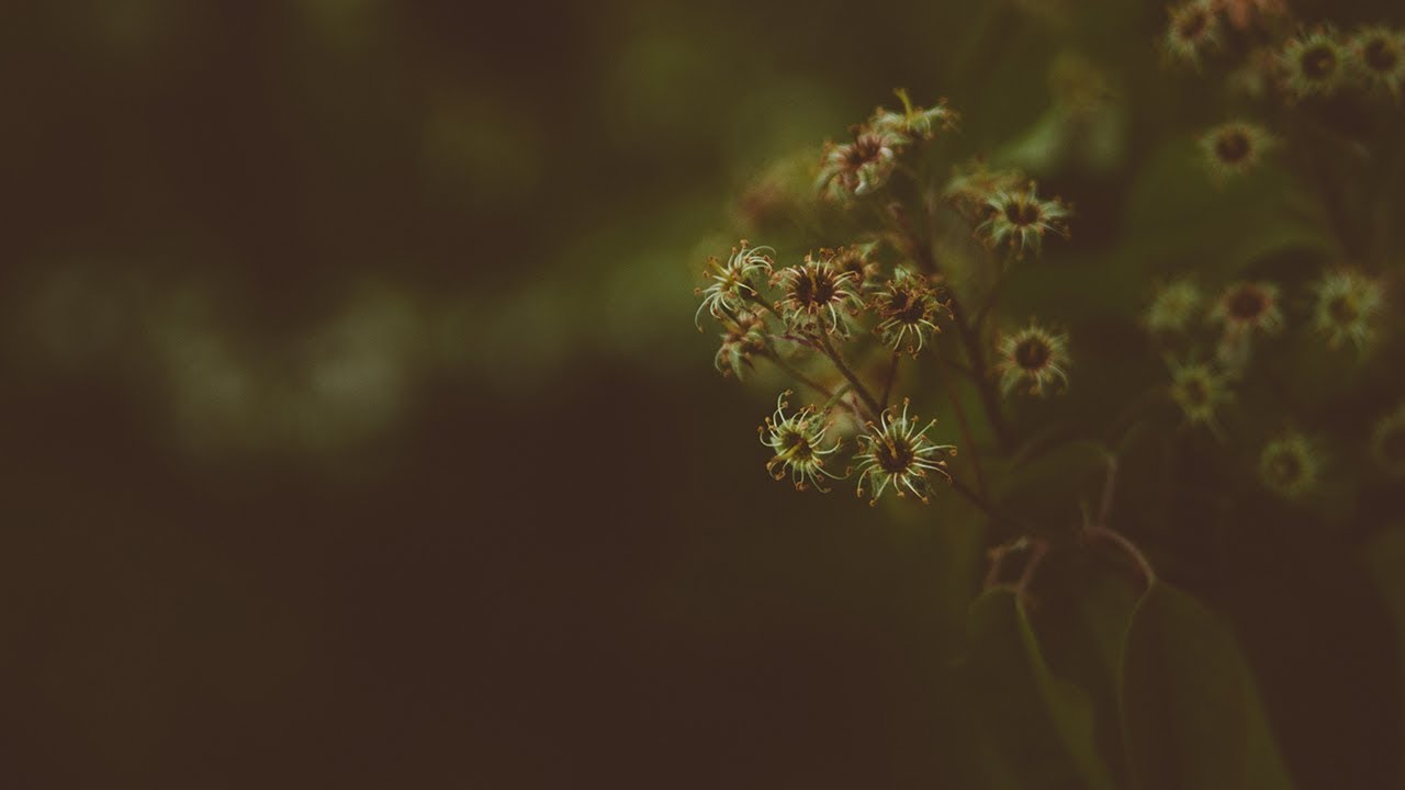 女性向け お昼寝から起きた彼氏が彼女と 前編 Youtube