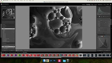 How to Make a Cyanotype Negative in Lightroom Classic