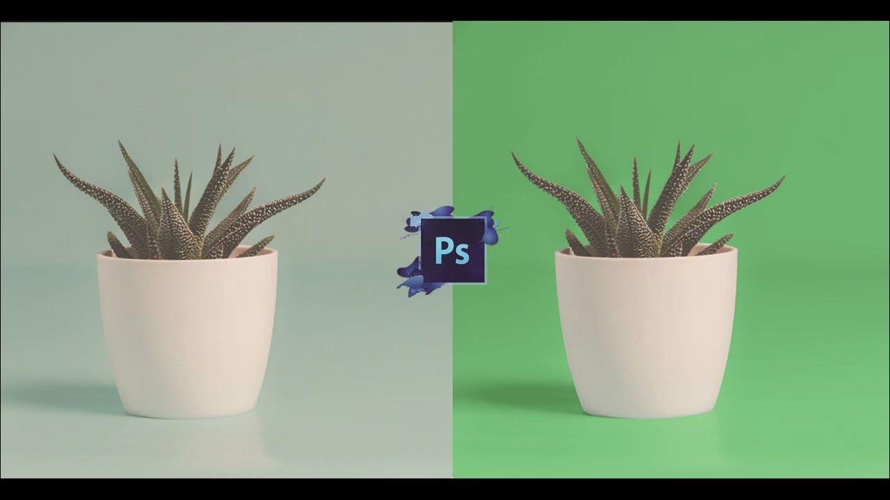 Change Background Colour In Photoshop Elements