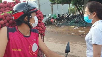 Ngã Ba Cầu Chét Cháy Hàng, Vải Thiều Lục Ngạn Giá Thế Nào l Luc Ngan lychee