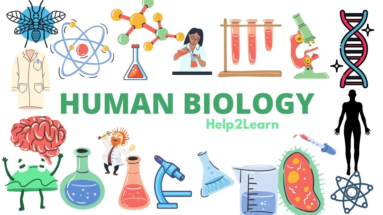 Human Biology: Lipids 🧈