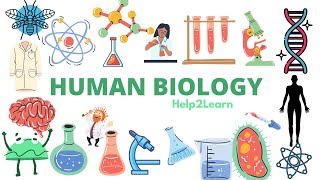 Human Biology: Lipids 🧈