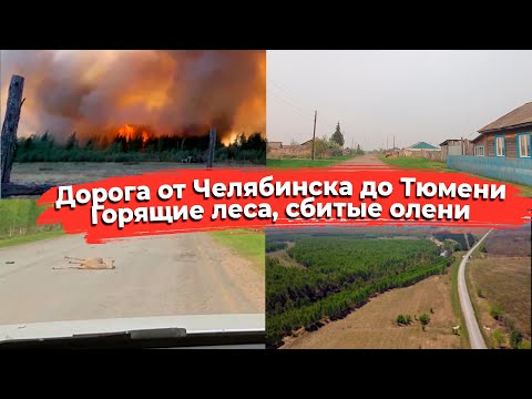 ДОРОГИ В РОССИИ