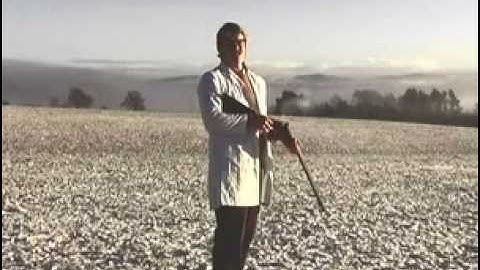 Video Title: Psychadeliktelekinesis