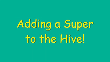 Adding a Super & Queen Excluder