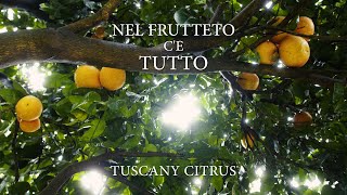 Nel Frutteto Cè Tutto Shot On Bmpcc 6K