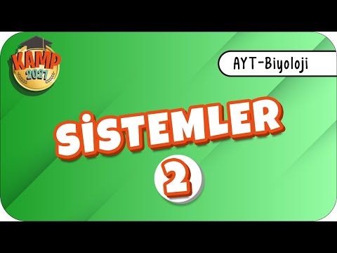 Sistemler-2 | AYT Biyoloji #biyolojik