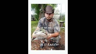 How To Clean A Soft Shell Turtle...