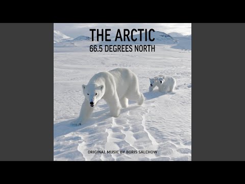 Παρακολούθηση Arctic Main Theme στο YouTube