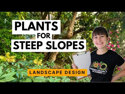 What to plant on a steep slope How to design a garden on a hill by Garden Project Academy