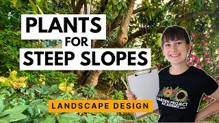 What To Plant On A Steep Slope How To Design A Garden On A Hill