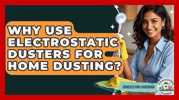 Why Use Electrostatic Dusters For Home Dusting? - Homekeeping Handbook