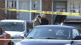 4 shot, 1 fatally, at gathering in Park Forest apartment