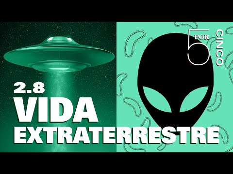Vídeo: Cinco Razones Para No Buscar Reuniones Con Extraterrestres - Vista Alternativa