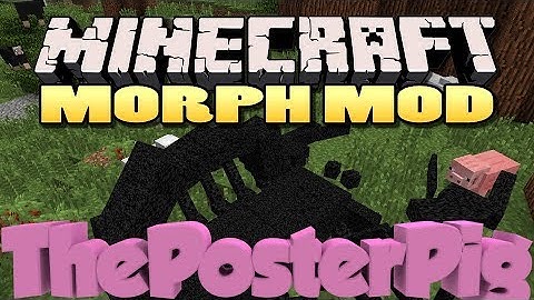 The Morph Mod | Full Review 1.6.4 | Turn Into Any Mobs!
