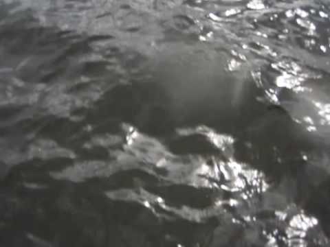 seafarers meaning Freediving in the Lake Näsijärvi,finland