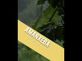 AMANXEBA By Sami Kay Private Piano AMANXEBA By Sami Kay Private Piano