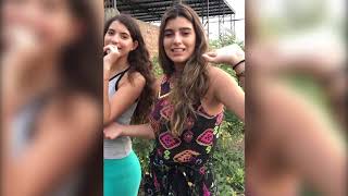 Tips De Nidia Para Tener Plantas Hermosas Bielka Nidia