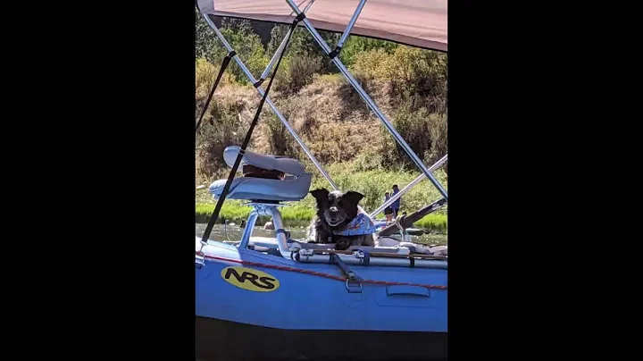 dog platform or bed for raft / rafting (DIY)