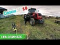 СЕВ ОЗИМОЙ ПШЕНИЦЫ 2019  Мойка траткора МТЗ 2022 3