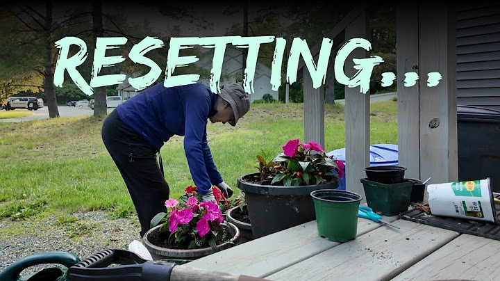Resetting at 65+ — A Few Simple Days at Home