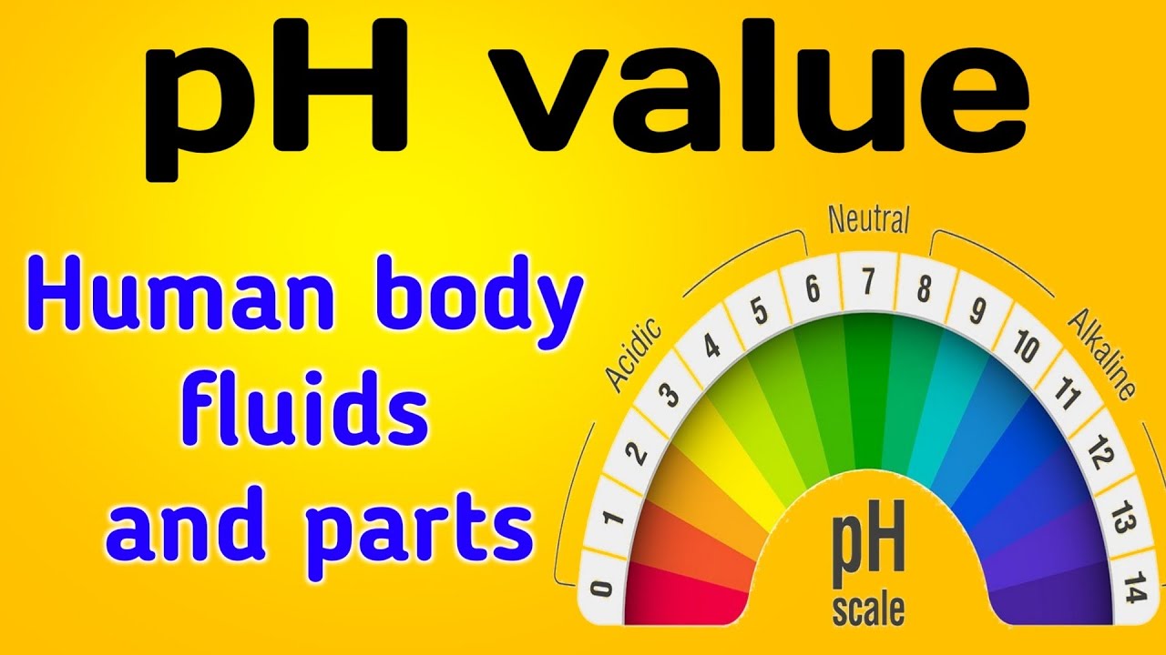 pH in the Human Body