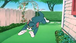 Tom and Jerry | Slicked Up Pup | Episode 60 Part 2
