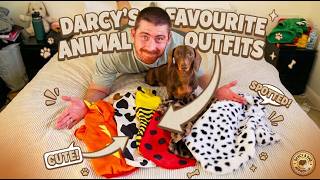 My Dachshund Tried On 5 Animal Outfits 😂 | Runway Show Ep. 2
