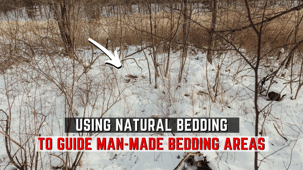 A Natural Bedding Guide  