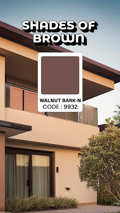Top 5 Exterior color combination for your home #home #exteriordesign #exteriors #wall #homeexterior