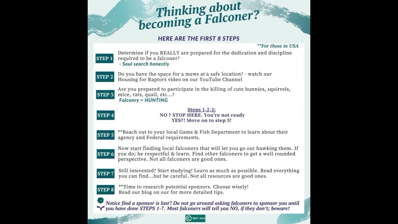 How to Get into Falconry Know the First Eight Steps and Basics to