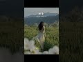 【UPM书单】醒来 ---你不是不努力,你只是还没醒来 #好书分享 #情感共鸣 #治愈 #文字的力量 #人生感悟 #心灵感悟 #personalgrowth #醒来