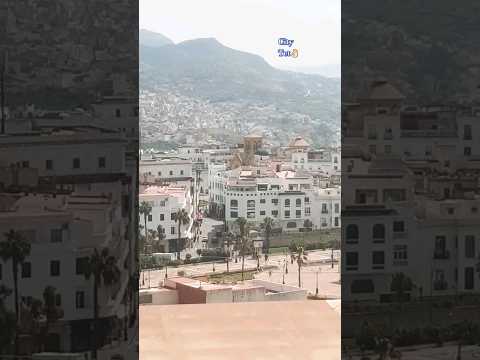 وقال الملك اني أرى سبع بقرات سمان يأكلهن سبع عجاف وسبع سنبلات خضر واخر يابساتا