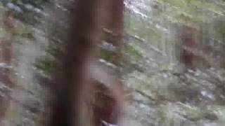 CIMAX20090322