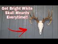 How To Get Super White European Skull Mounts